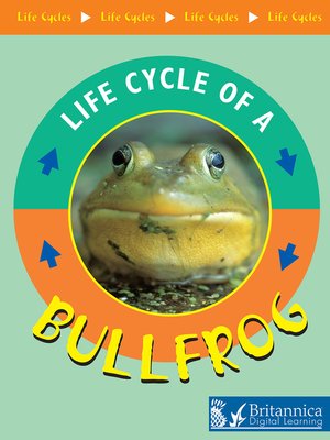 cover image of Bullfrog